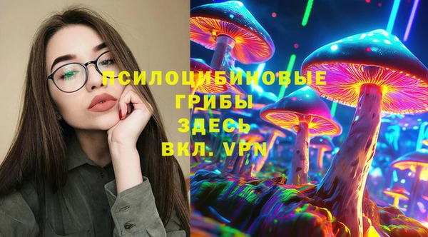 кокс Алексин