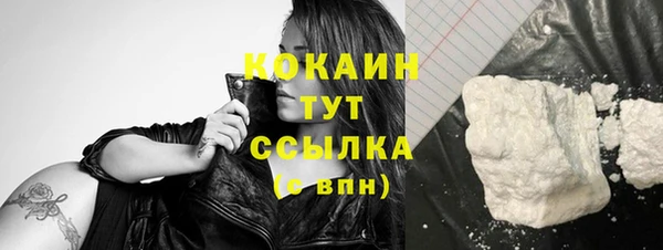 кокс Алексин