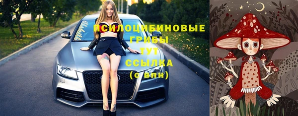 кокс Алексин
