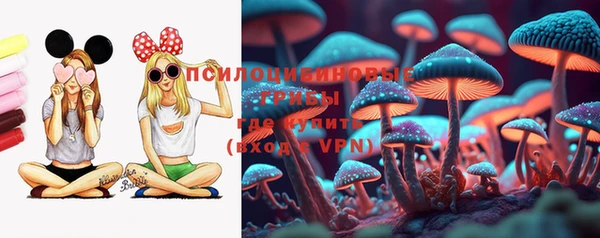 кокс Алексин